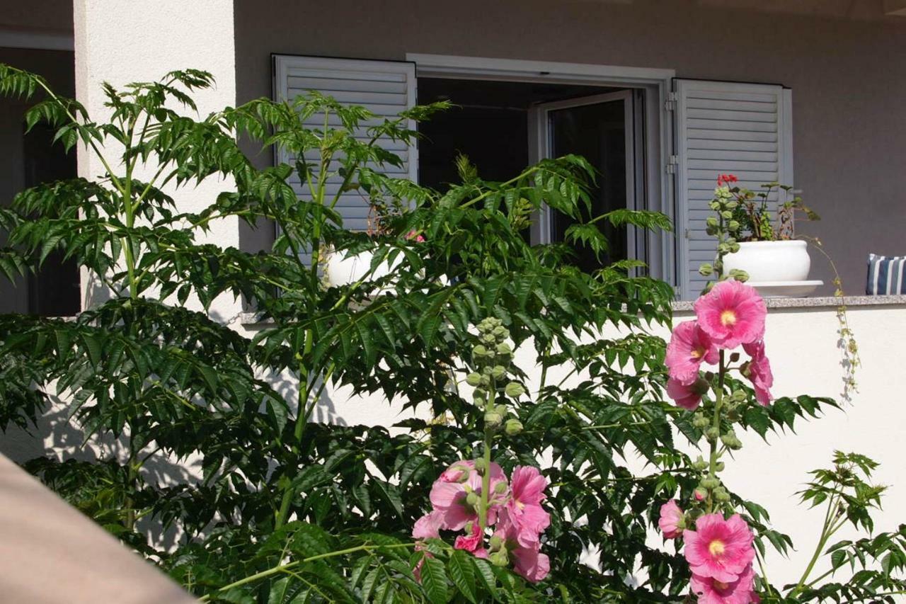 Open Hus Apartment Крвавица Екстериор снимка